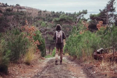 Hiker walking on path Stock Photos