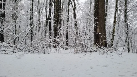 Hiker walking by in Snow Stock Footage 106142981