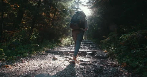 Hiker walking stone trail with backpack in mountain forest, hiking backpacking Stock Footage 162964346