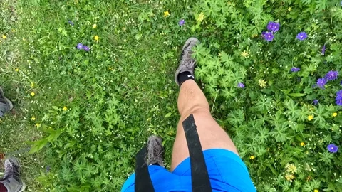 Hiker walking through alpine wildflowers in the Roshka Valley Stock Footage 340385579