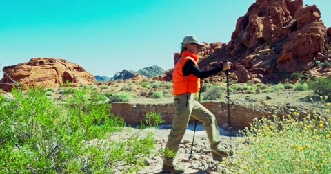 Hiker Walking Through Desert Landscape with Rocky Mountains Stock Footage 323795171