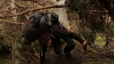 Hiker walking through fallen trees on Overland Track Stock Footage 72152973