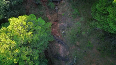 Hiker Walking Through Forest Trail Slow Motion Aerial View Stock Footage 344596853