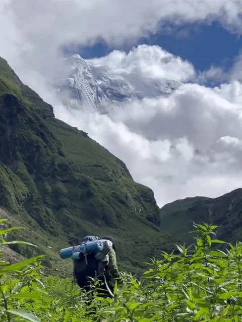 Hiker Walking Through Green Valley Mountain View 库存影片 340868720