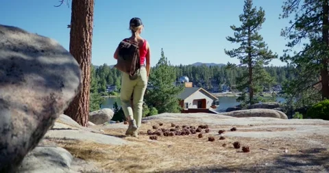 Hiker Walking Through Pine Forest Near Lakefront Cabins Stock Footage 325457390