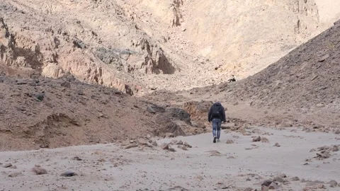 Hiker walking through a remote desert canyon in egypt Video stock 333564388