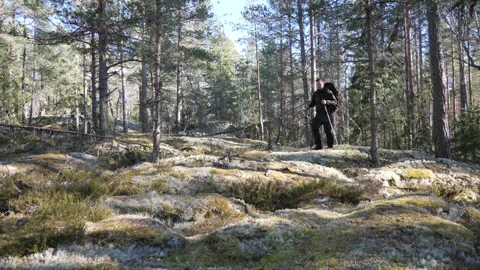 Hiker Walking Through Rocky Pine Forest Landscape Vidéo 333581607
