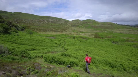 A hiker walking through a section of Idrigill Forest Stock Footage 65292797