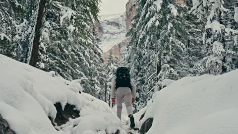 Hiker Walking Through a Snowy Forest Trail in the Mountain Wilderness Stock Footage 331165154
