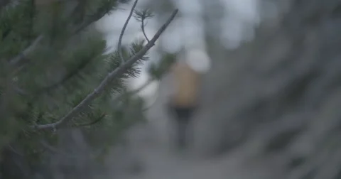Hiker walking toward camera Stock Footage 65182819