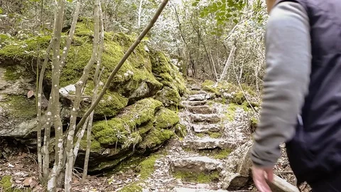 Hiker Walking up the Trail With Stone Steps Covered in Green Moss. Stock Footage 71516542