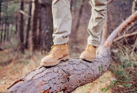 Hiker walking on tree trunk Stock Photos