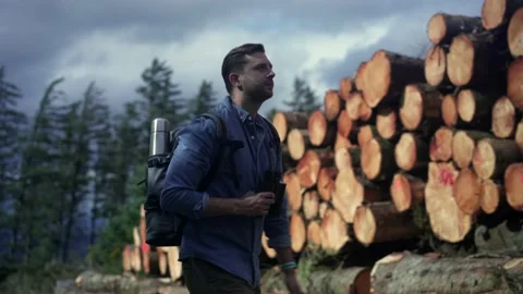 Hiker walking on tree trunk at stack of wood Stock Footage 138099311