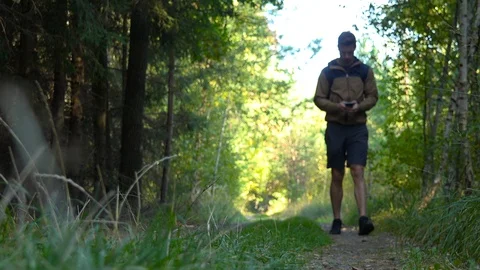 A hiker walks down a pathway through a forest - view from the ground 库存影片 109335085