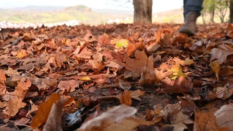 Hiker walks on a forest path full of leaves, 4K Stock Footage 145761924