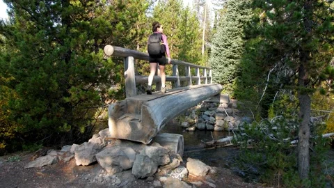 Hiker Walks Over Log Bridge on Green Lakes Trail Stock Footage 144413530