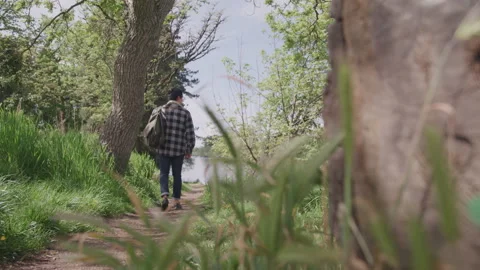 Hiker Walks On Path In Nature Stock Footage 208736150