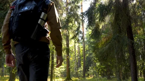 A hiker walks through a forest 库存影片 109334504