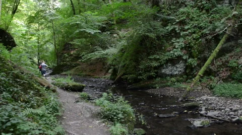 Hiker on wild stream Ehrbach next to Mosel River. Vídeo Stock 54915430