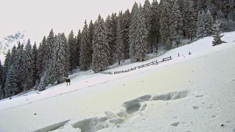 Hiker in winter mountains Stock Footage 83238301