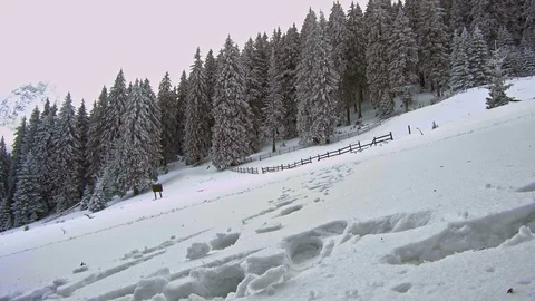 Hiker in winter in mountains Stock-Footage 83239241