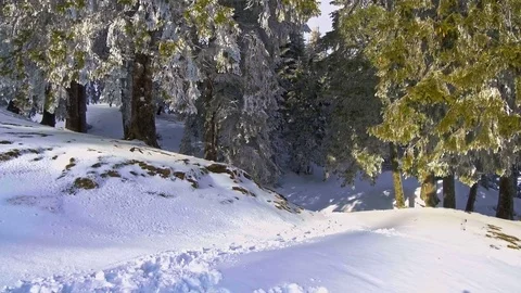 Hiker in winter in mountains Stock Footage 83239472