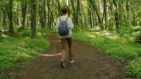 Hiker woman with backpack walking in the forest. Travel concept. Stock Footage 86895341