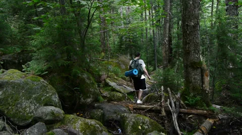 Hiker in Woods Video stock 25887330