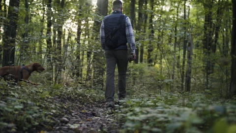 A hiker in the woods Stock Footage 137761128