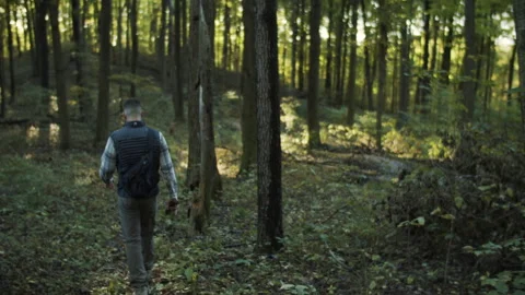 A hiker in the woods Stock Footage 137805703