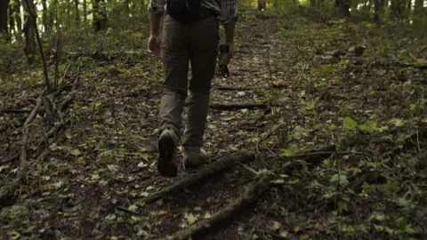 A hiker in the woods Stock Footage 137805965