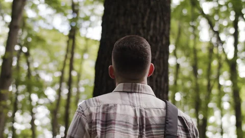 A hiker in the woods Stock Footage 137820646