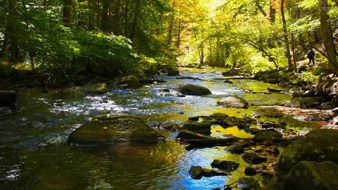 Hikers Along BlackRiver 2 Stock Footage 101619576