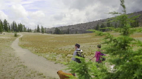 Hikers and their pets follow a trail Stock Footage 59082091