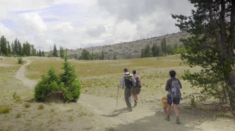 Hikers and their pets walk away from the camera Stock Footage 59082429