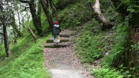 Hikers Ascending Forest Path with Stone Steps - 4K Nature Stock Footage 312656230