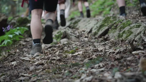 Hikers boots walking on a rugged forest trail , footwear stepping on dirt and Stock Footage 342264518