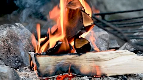 Hikers camp fire. Stock Footage 248686938