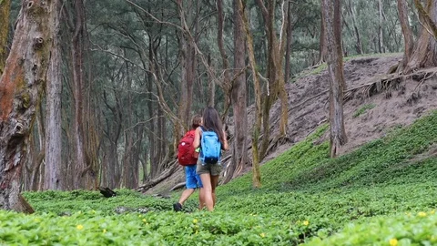 Hikers Carrying Backpacks While Walking In Forest Stock Footage