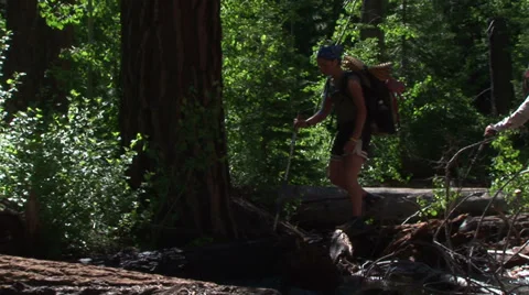 Hikers Cross Logs Stock Footage 36176388