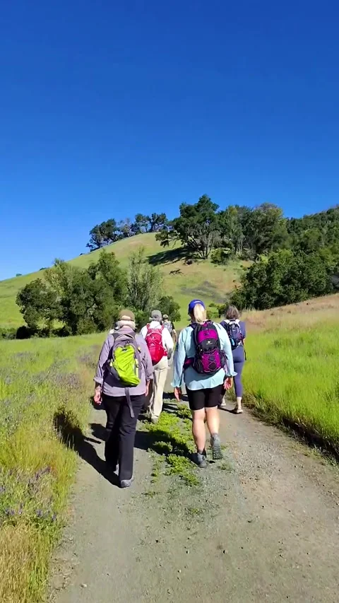 Hikers on Dirt Trail Through Rolling Hills Stock Footage 313961261