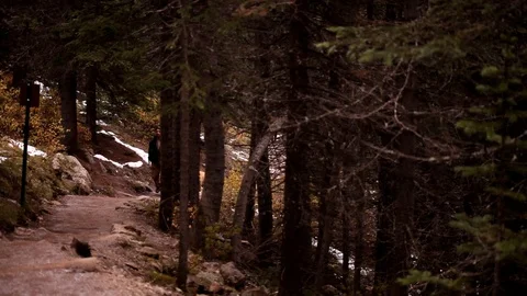 Hikers with a dog Stock Footage 101986870