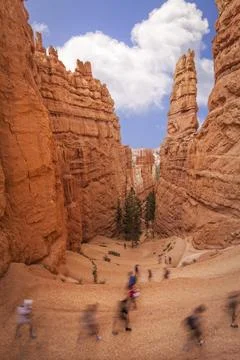Hikers explore the Navajo Loop Trail winding through towering hoodoos in Br.. Foto stock