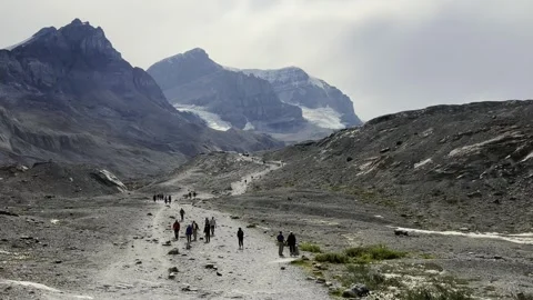 Hikers exploring athabasca glacier in jasper national park, canada Stock Footage 302569229
