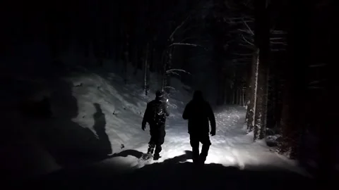 Hikers, Exploring, Dark, Forest Stock Footage 301551996