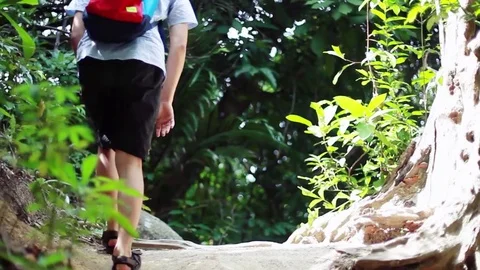 Hikers exploring forest river couple trekking enjoying adventure hiking 스톡 동영상 80216934