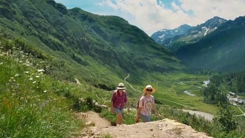 Hikers Exploring Serene Mountain Trails in Summer - Perfect for Travel and Stock Footage 306153238