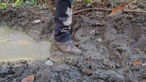 Hiker's Foot in the Mud Stockbeeldmateriaal 260563677