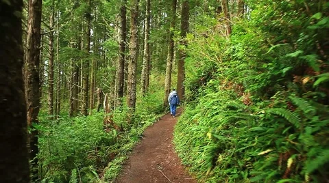 Hikers Stock Footage 1042094