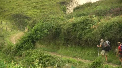 Hikers Stock Footage 21264931